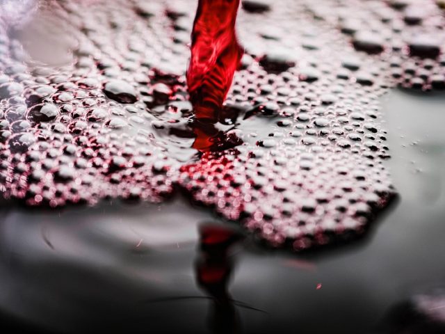 Quel composteur choisir pour un jardin familial