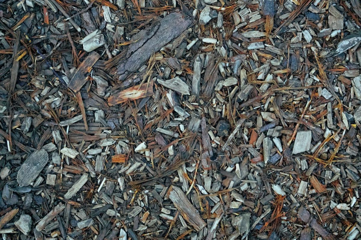 Compost et gestion des déchets verts : options comparées