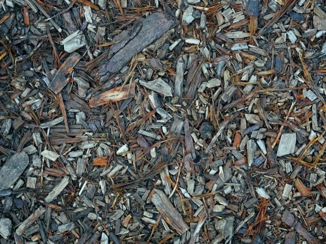 Compost et gestion des déchets verts : options comparées