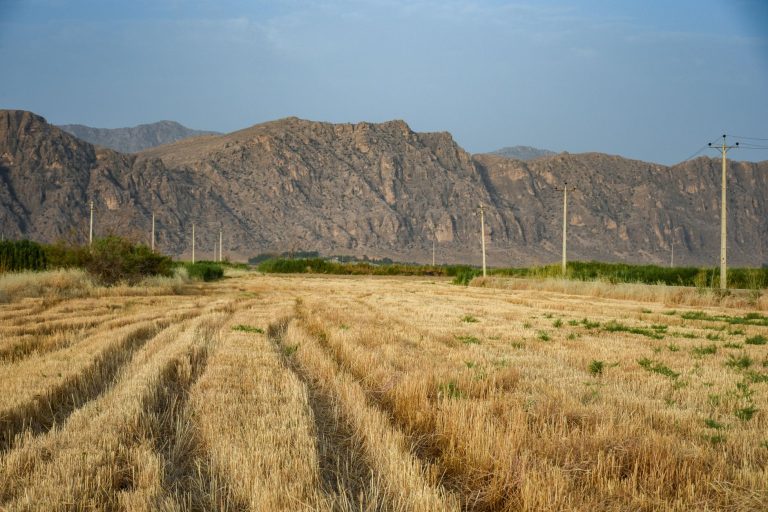Depuis plusieurs mois, la sécheresse menace l&rsquo;avenir agricole du pays de Léon