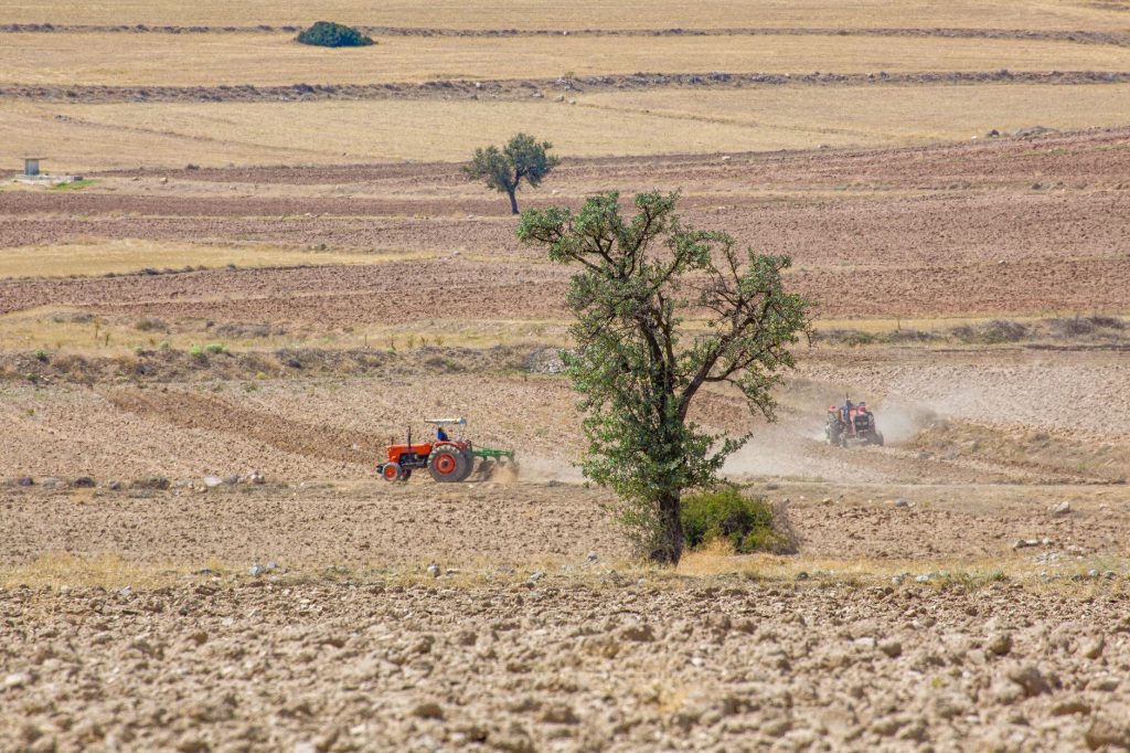 Sécheresse : les agriculteurs du pays de Léon en danger économique