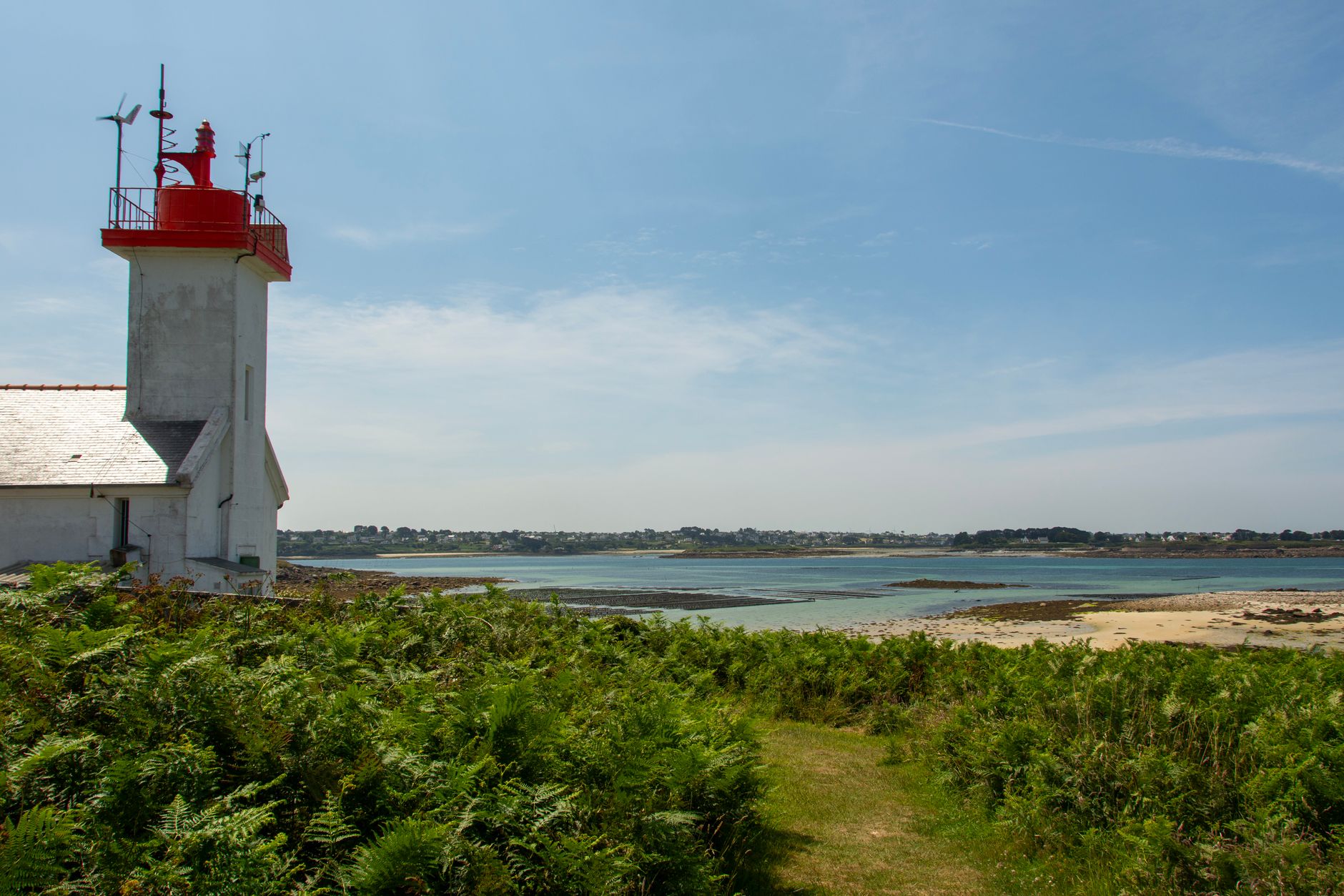 La Station biologique de Roscoff vous ouvre ses portes : un rendez-vous incontournable pour la Fête de la science !