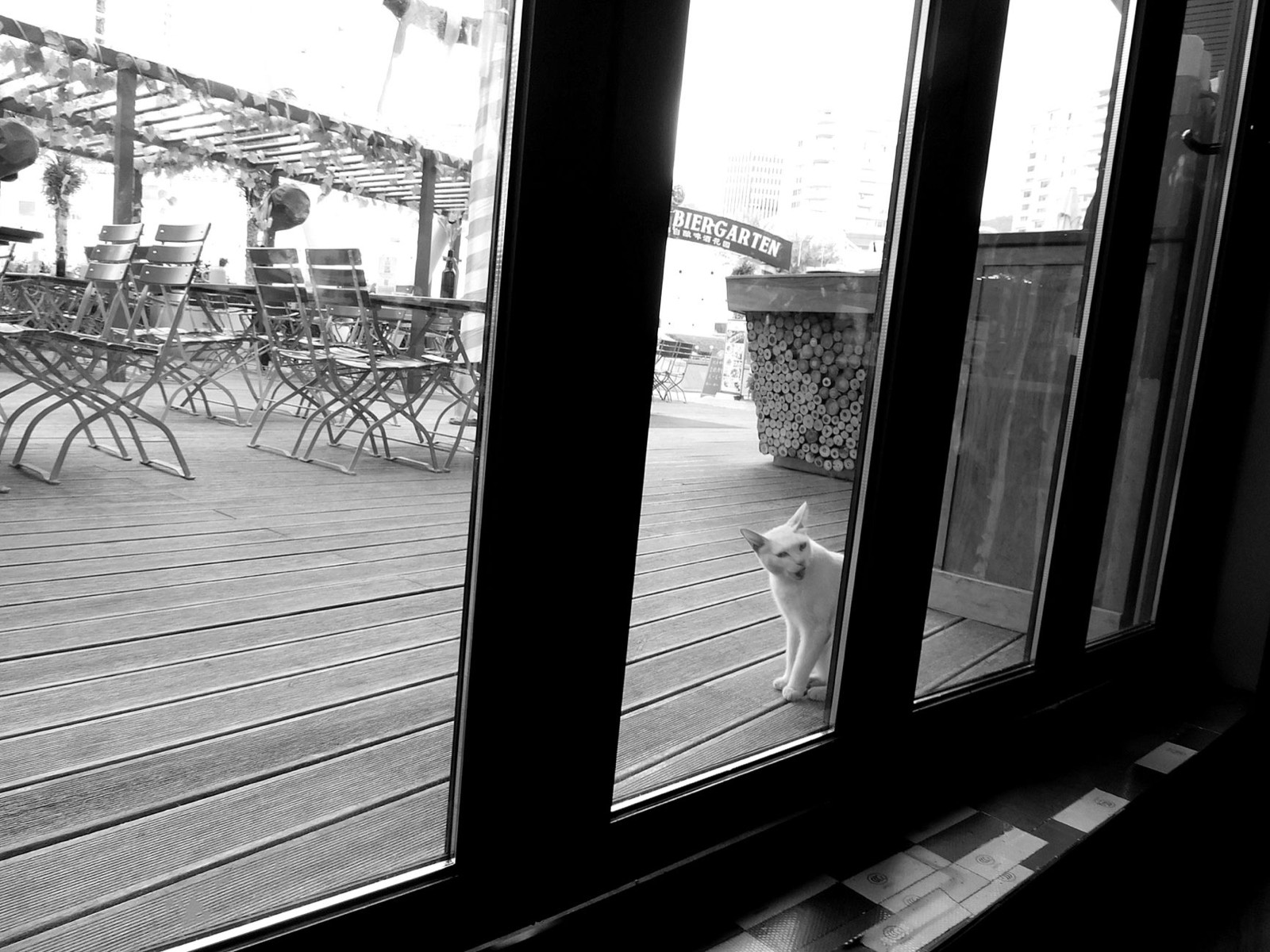 Un chat assis près d'une fenêtre, à côté d'un trousseau de clés posé sur la table