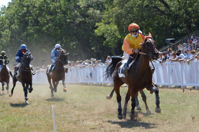 Le Prix Centrakor à Saint-Pol-de-Léon : Pourquoi cet événement fait battre le cœur des passionnés de courses ?