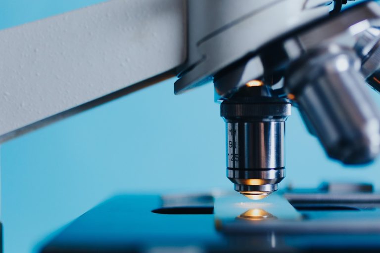 Un BTS en alternance à Saint-Pol-de-Léon : une réponse à la demande croissante de techniciens de laboratoire