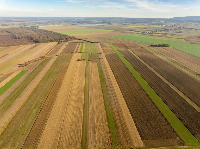 Un modèle d’engagement agricole : Thierry Merret honoré à Saint-Pol-de-Léon