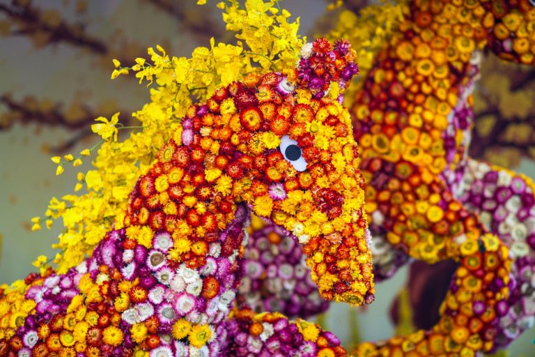 L&rsquo;incroyable ascension d&rsquo;Alexandre Blot, le jeune fleuriste de Landivisiau